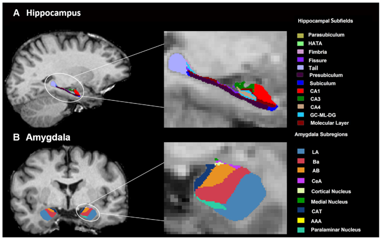 Figure 1: