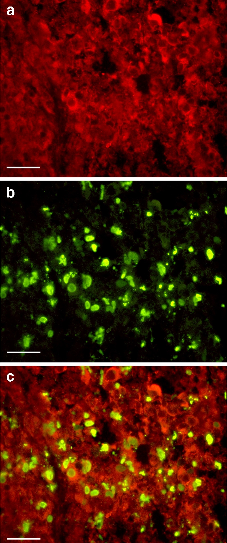 Fig. 3