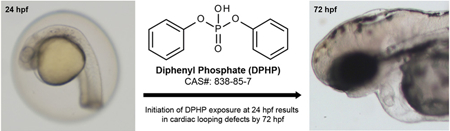 graphic file with name nihms-1019392-f0001.jpg