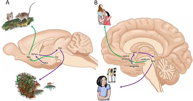 Figure 3: