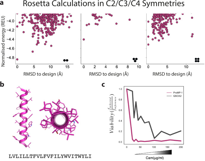 Figure 3—figure supplement 1.