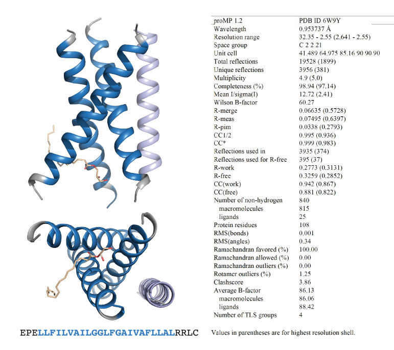 Figure 1—figure supplement 4.