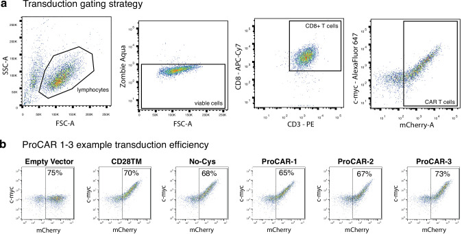 Figure 3—figure supplement 2.