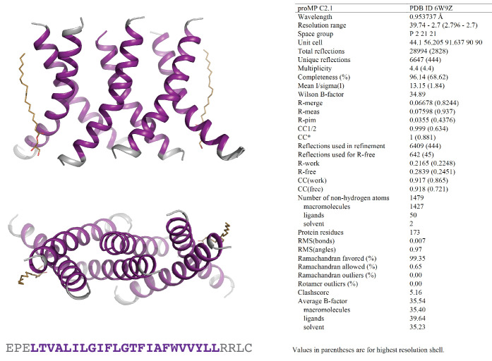 Figure 2—figure supplement 1.