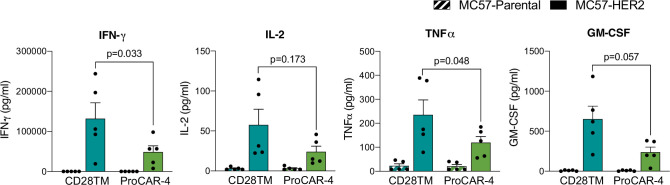 Figure 6—figure supplement 3.