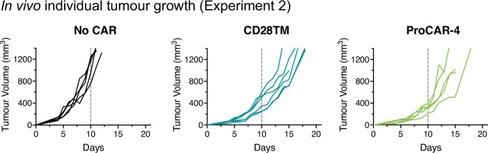 Figure 6—figure supplement 2.