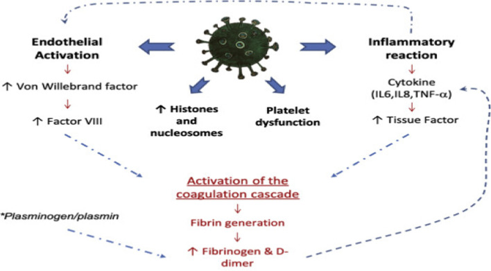 Fig. 11