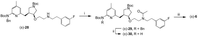 Scheme 3