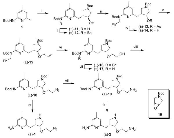 Scheme 1