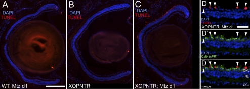 Figure 3.