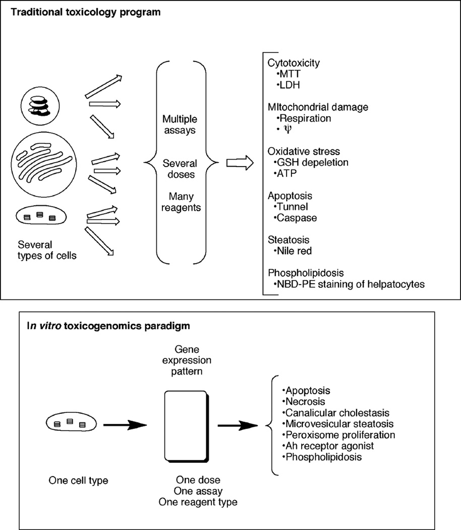 Fig. 9