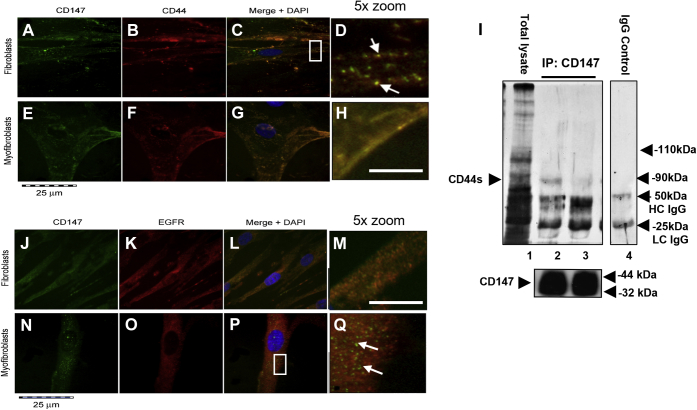 Figure 5