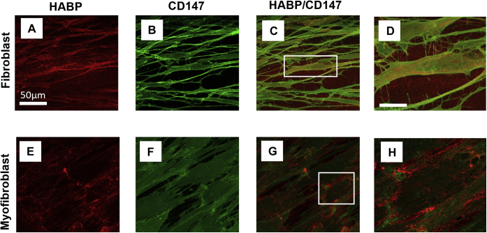 Figure 7