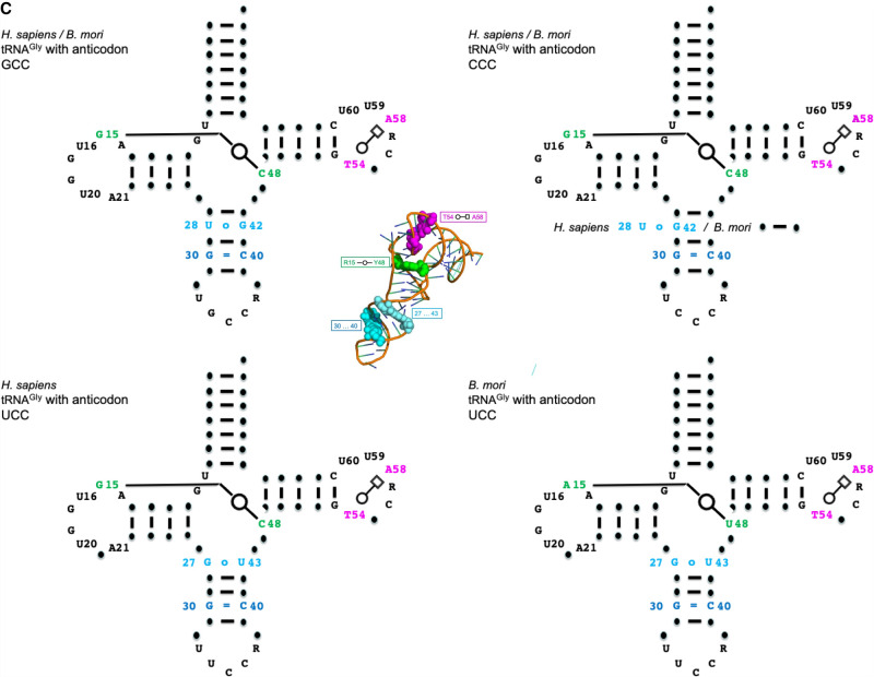 FIGURE 1.