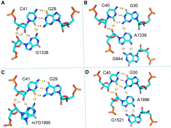 FIGURE 3.