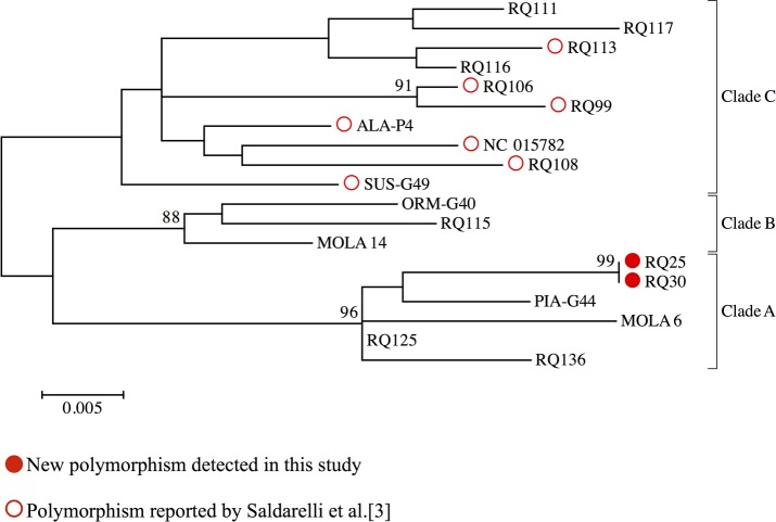 Fig 4