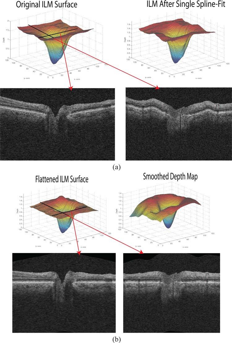 Fig. 9