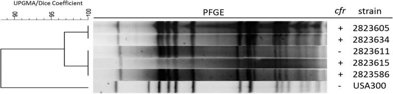 FIG 1