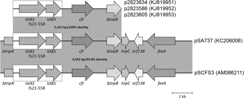 FIG 2