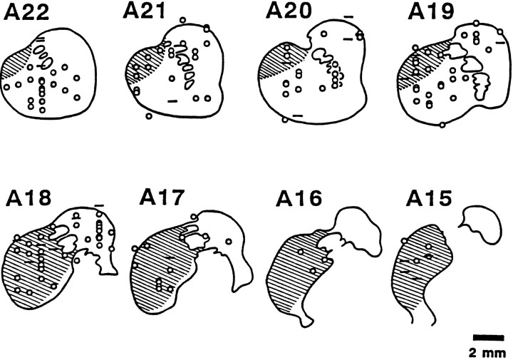 Fig. 8.