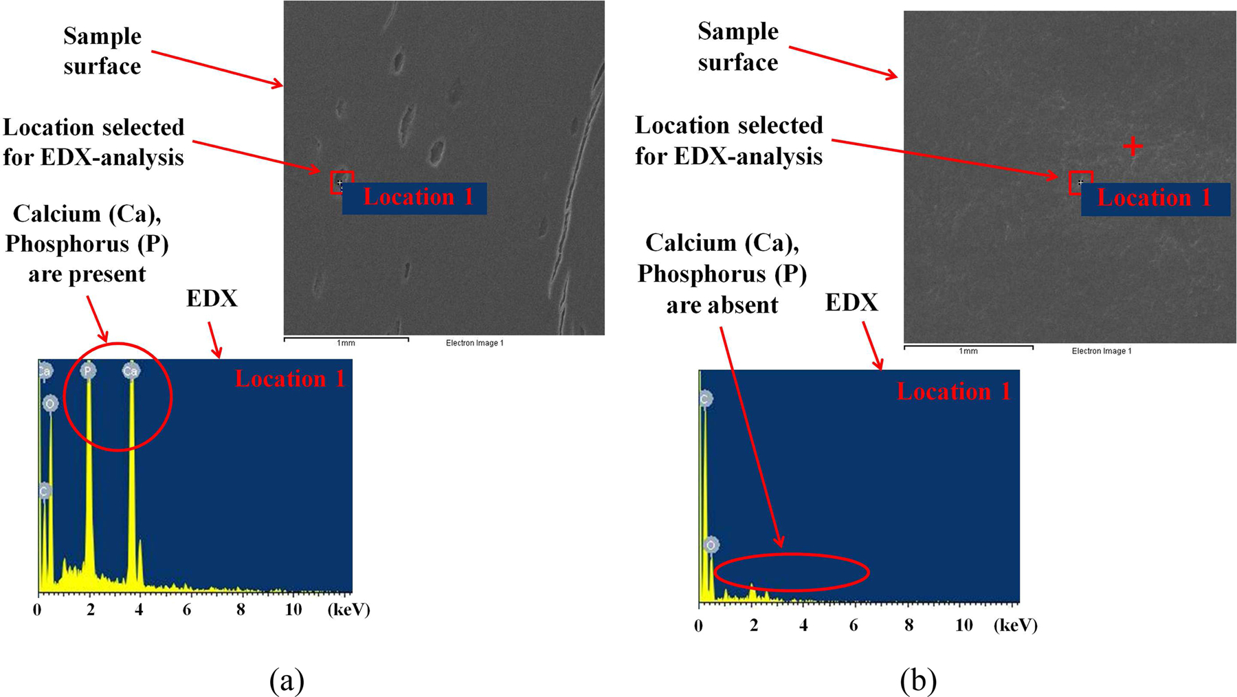 Figure 5: