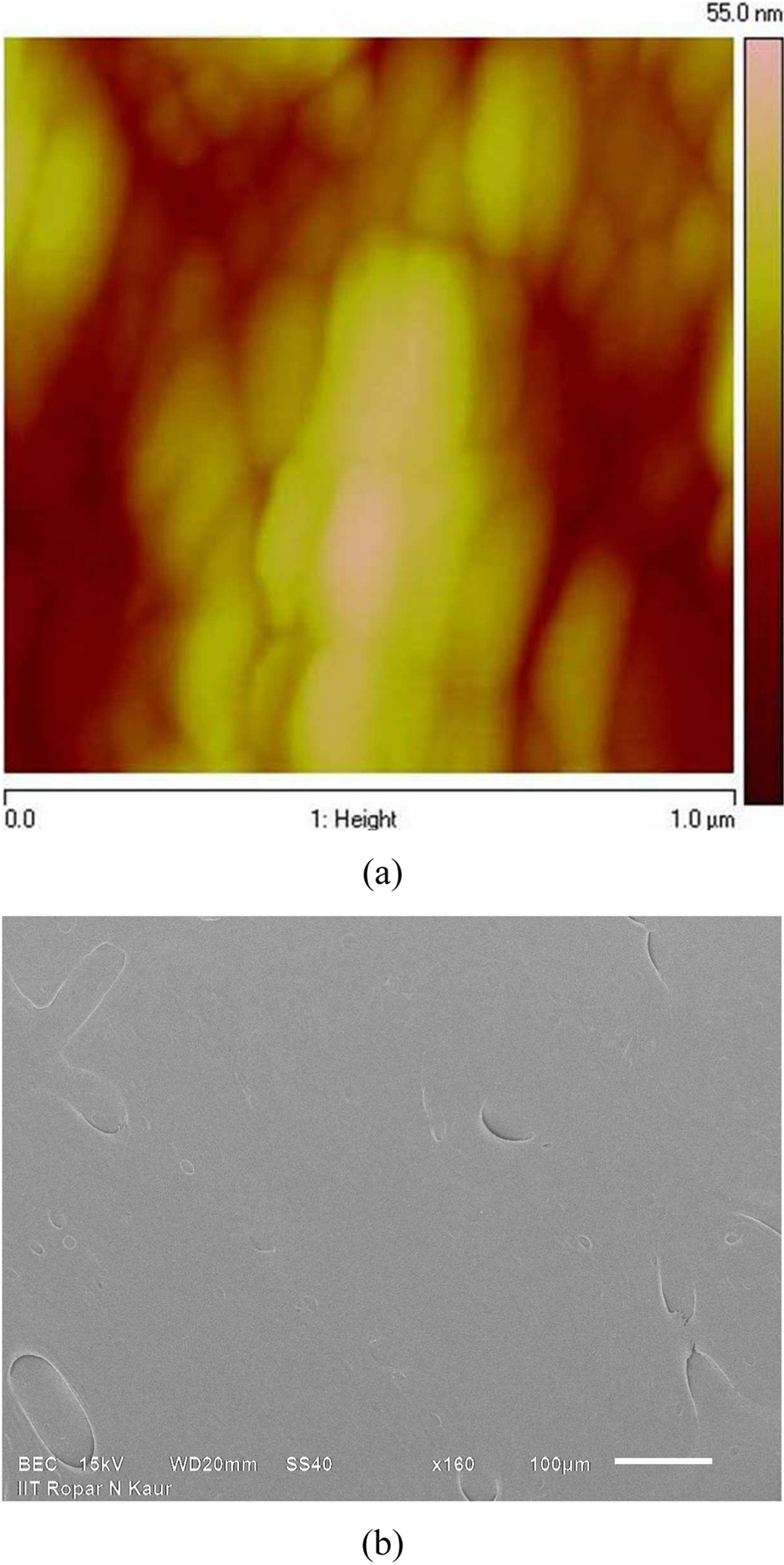 Figure 4: