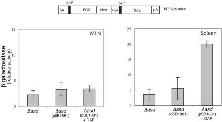 FIG. 8.