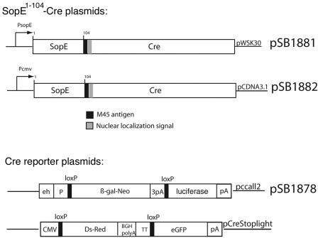 FIG. 1.