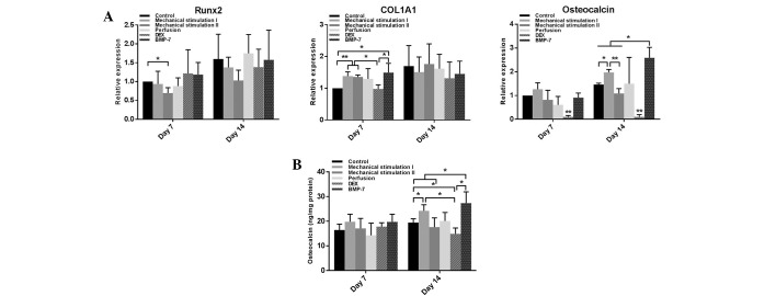 Figure 5.