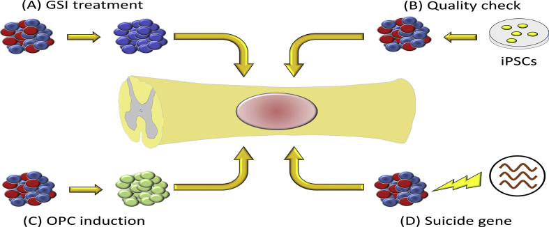 Fig. 2