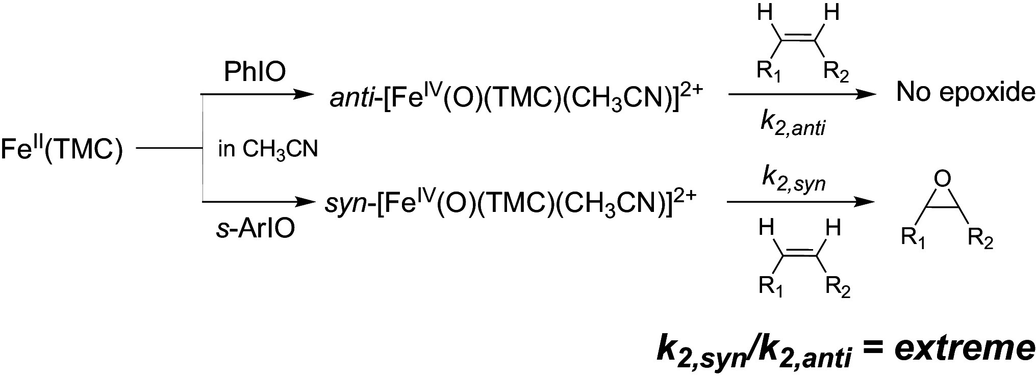 graphic file with name pnas.2319799121unfig02.jpg