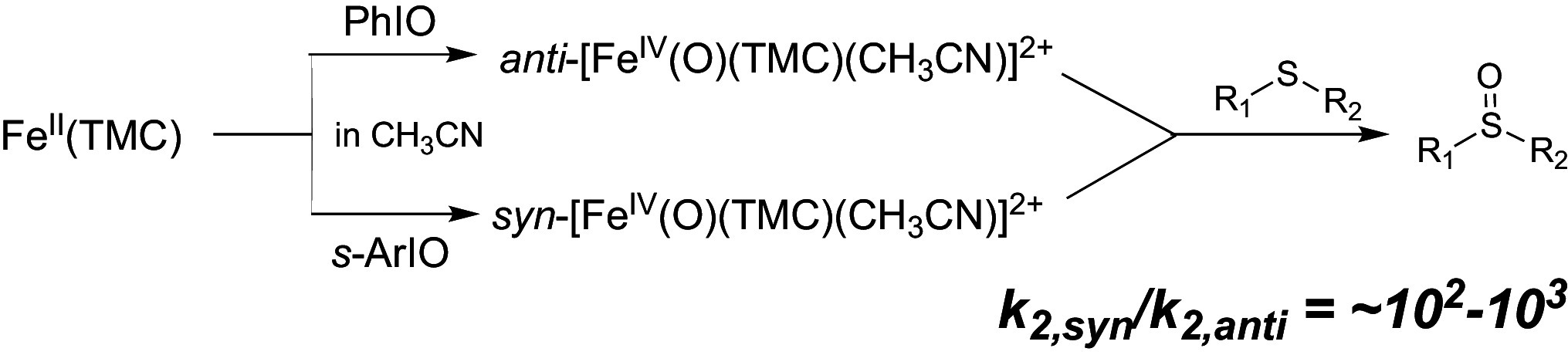 graphic file with name pnas.2319799121unfig03.jpg