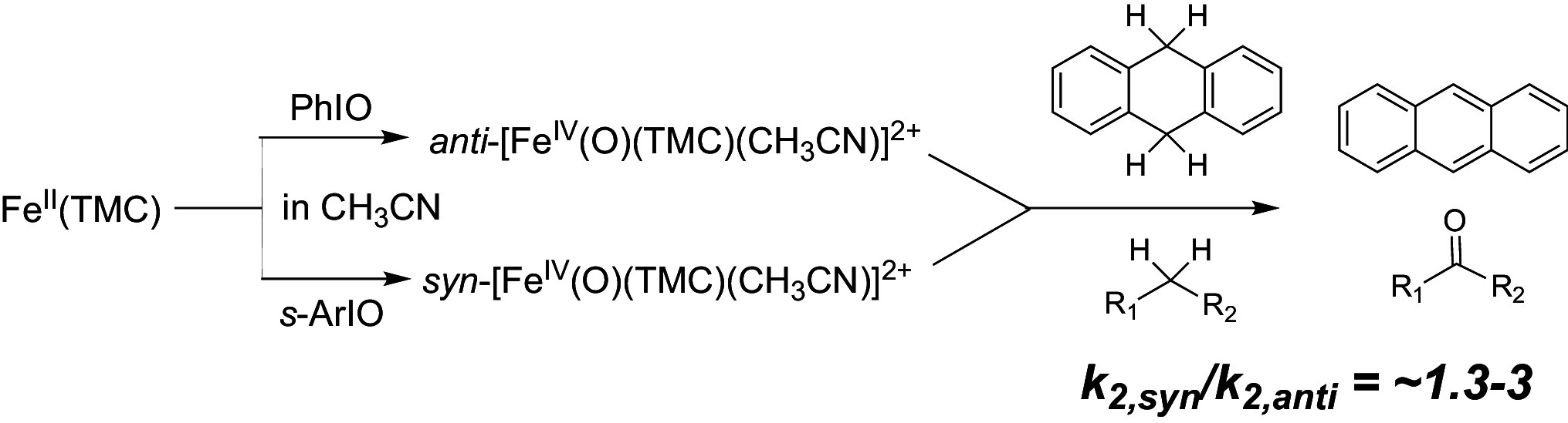 graphic file with name pnas.2319799121unfig01.jpg