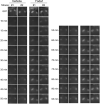 Extended Data Fig. 6