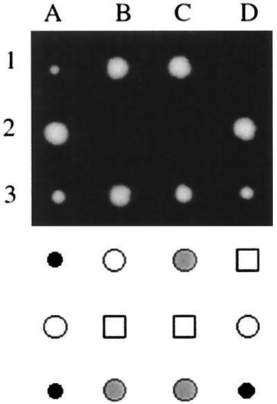 FIG. 7.