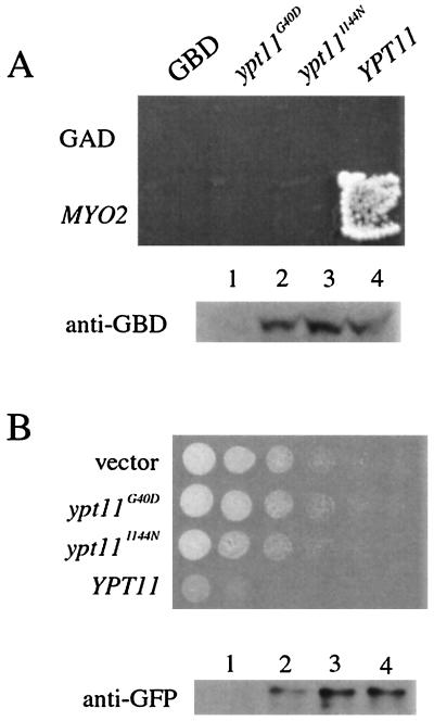 FIG. 5.