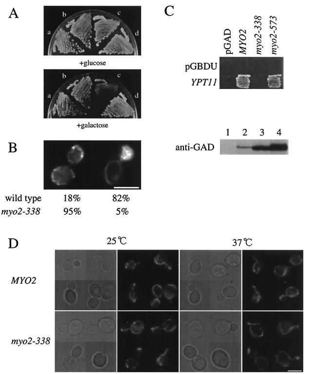 FIG. 6.