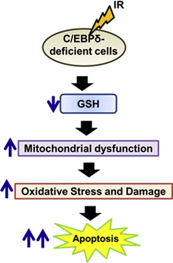 Fig. 9