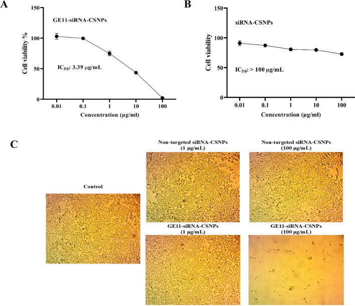 Fig. 10