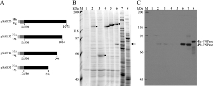 FIG. 7.