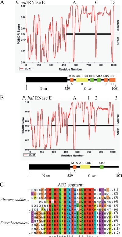 FIG. 1.