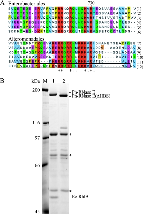 FIG. 6.