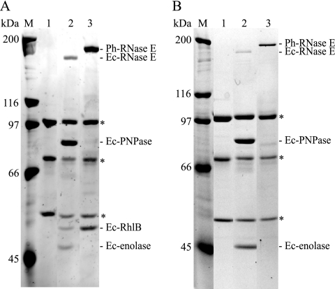 FIG. 5.