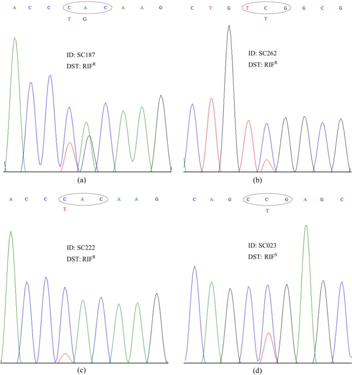 FIG 1