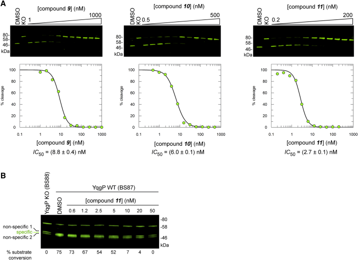 Figure 6