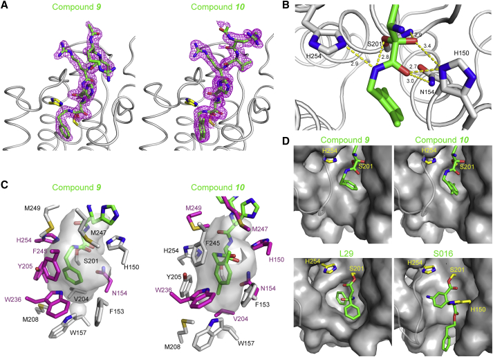 Figure 7