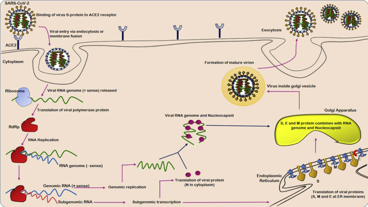 Fig. 3