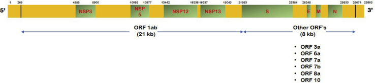 Fig. 2