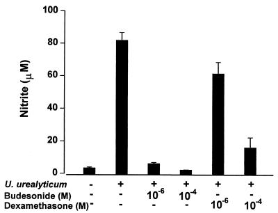 FIG. 5