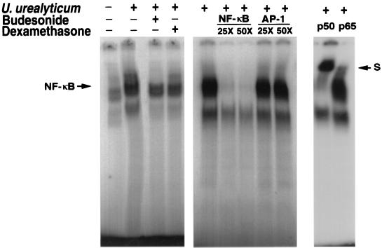 FIG. 6